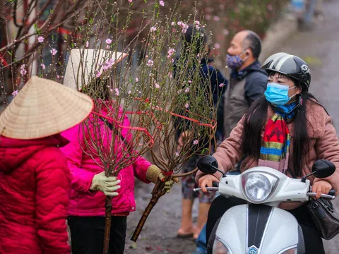 Thời tiết Tết Nguyên đán: Miền Bắc đón Giao thừa trong rét đậm, mưa phùn